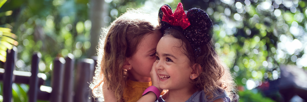 MagicBreaks Frontierland carousel banner