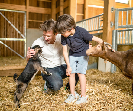 Ofertas de invierno 2026/2027