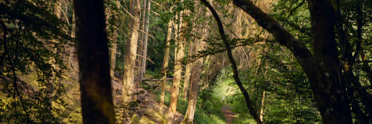 MagicBreaks Special Offers carousel banner