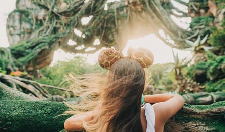 Walt Disney World Resort in Florida