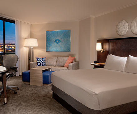 Guest Room - King Bed