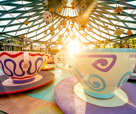 Mad Hatter's Tea Cups