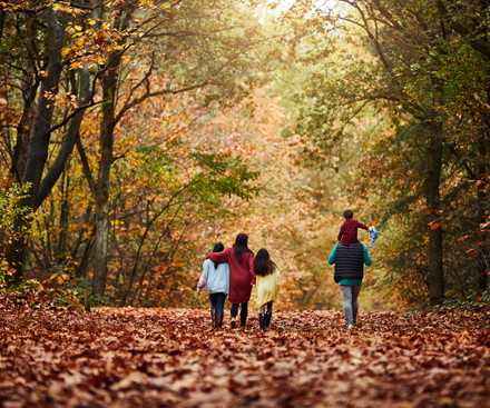 Ofertas especiales de los resorts de los Países Bajos