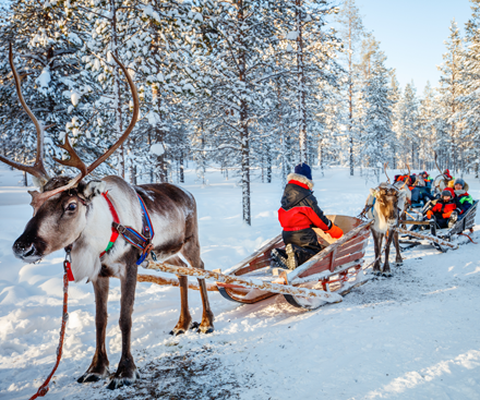 3 or 4 Night Stay in Jeris