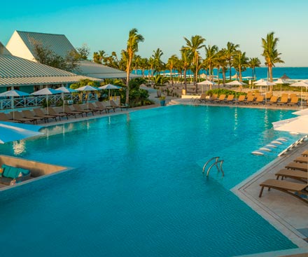 Must-Try Experiences