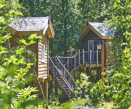 Themed Room Tree 6 Person