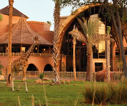 Villas de Disney's Animal Kingdom - Jambo House