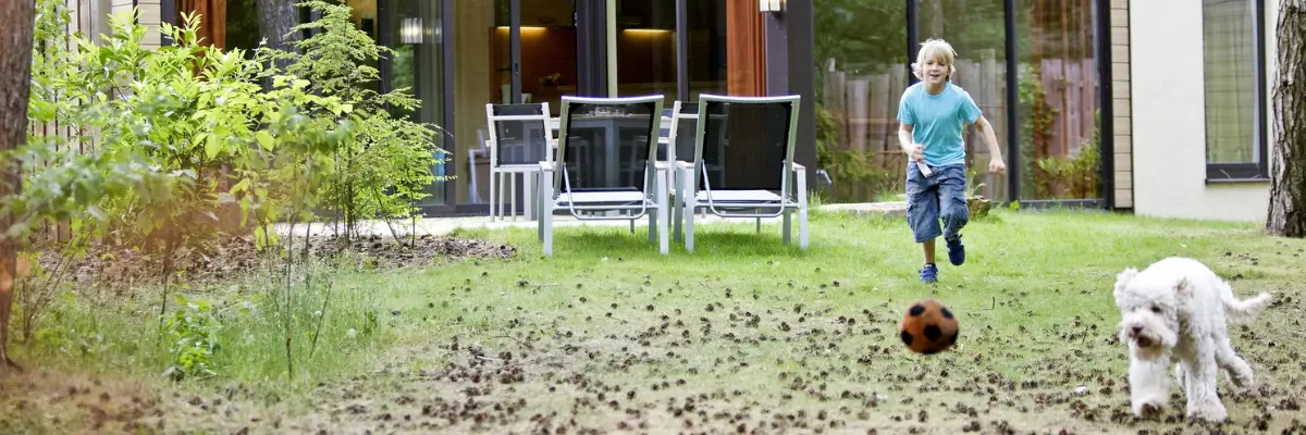 MagicBreaks Our Fave Dog-Friendly Parks carousel banner