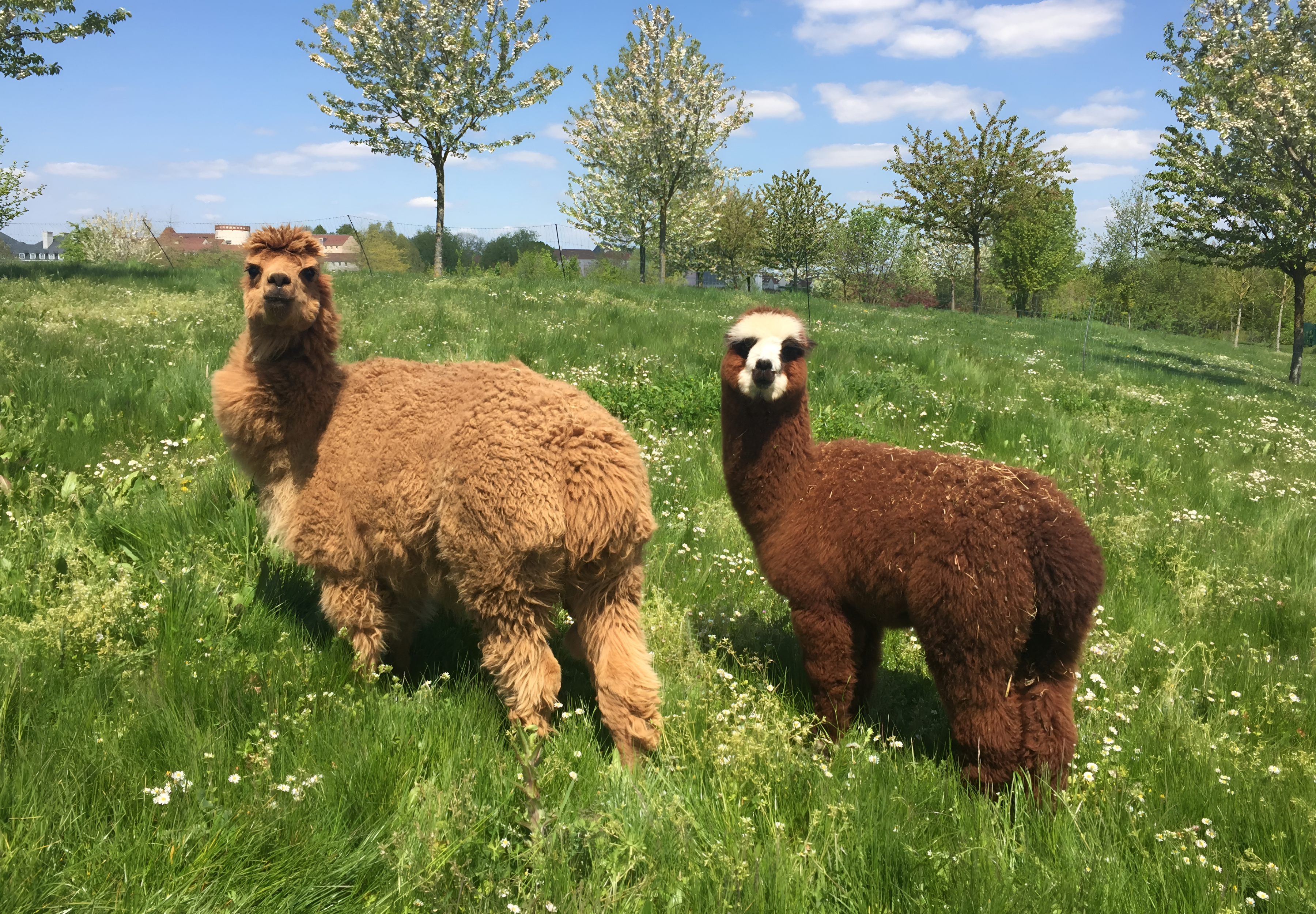 MagicBreaks Fantastic Hotel Facilities carousel banner