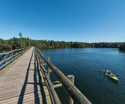 Descripción general