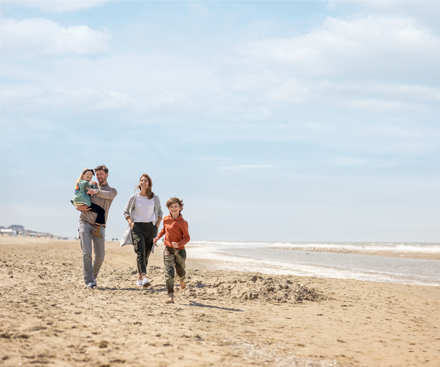 Descripción general