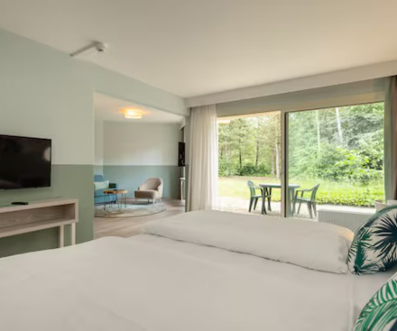 1-Bedroom Hotel Suite