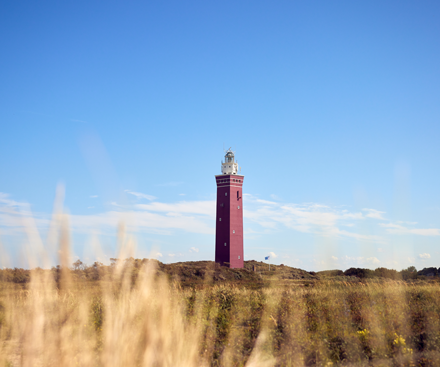 Descripción general