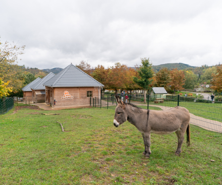 Descripción general