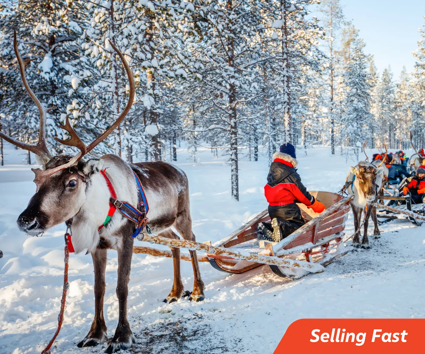 3 or 4 Night Stay in Jeris