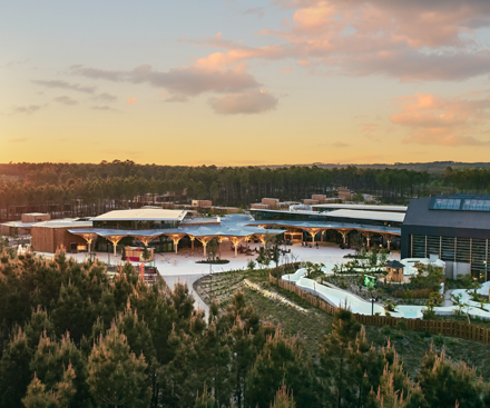 Las Landas de Gascuña