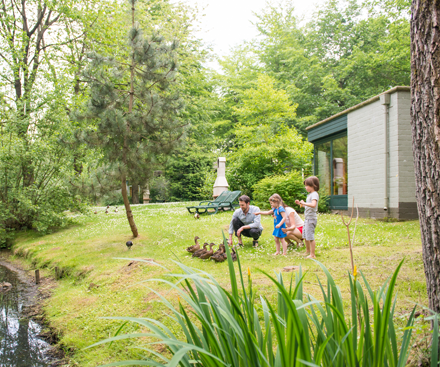 Descripción general