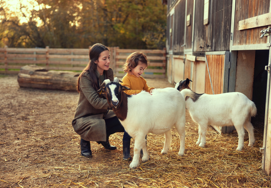 MagicBreaks Amazing 20% Early Bird Discount! carousel banner