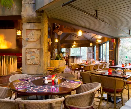 Fuego Adventure Grill