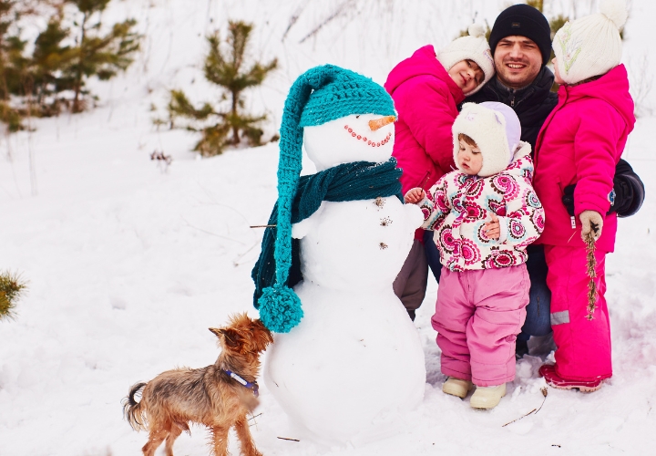 MagicBreaks Discover Lapland With Free Child Places Available! carousel banner