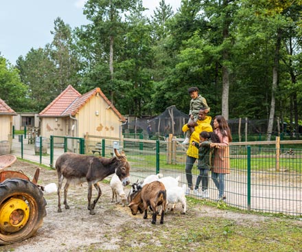 Wannabe a Park Ranger