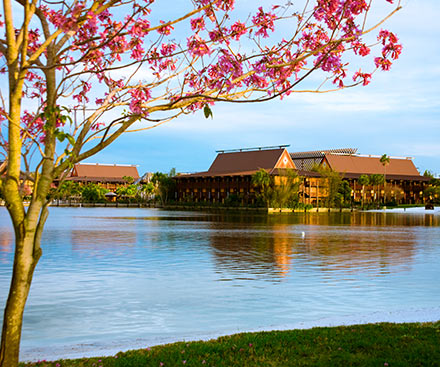Disney's Polynesian Village Resort