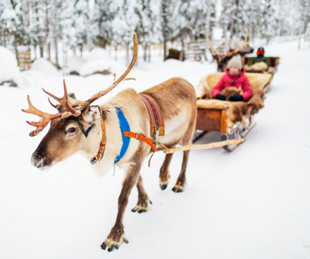 30 de noviembre de 2026