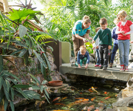 Descripción general